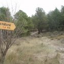 Taller: La senda natural y los yacimientos de Campos de Urnas del rio Huecha